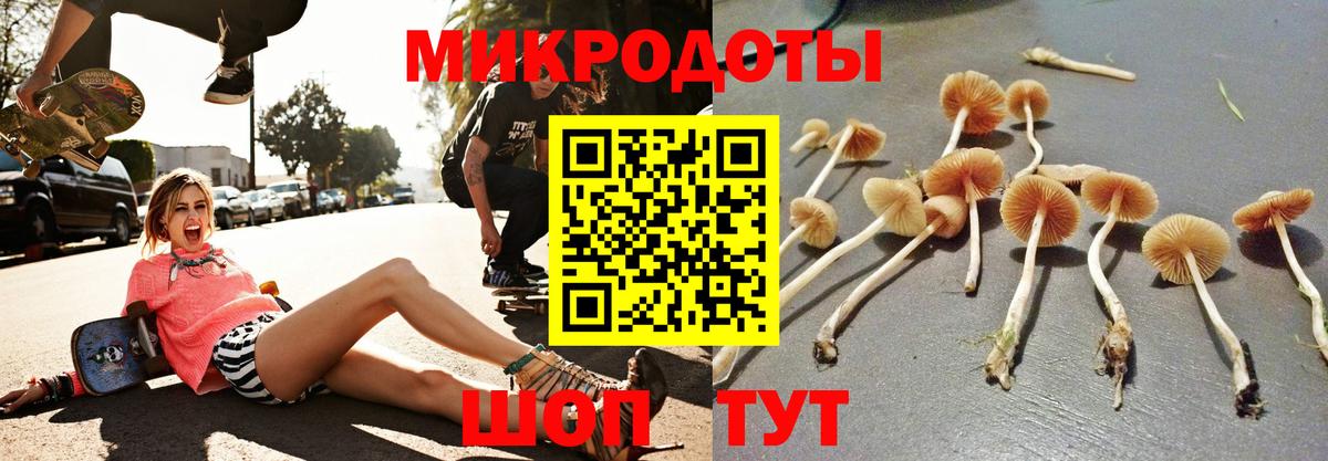 как найти наркотики  Псилоцибиновые грибы Cubensis  Вход с VPN  Коломна 